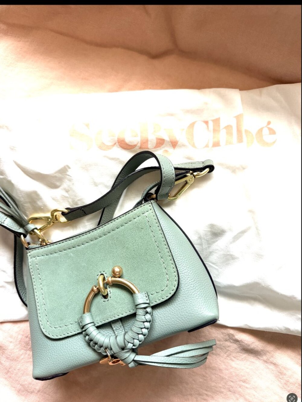 SEE BY CHLOÉ Joan Mini Textured-leather And Suede Shoulder Bag In Green - Picture 3 of 7